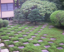 東福寺 - 方丈北庭院的市松花様