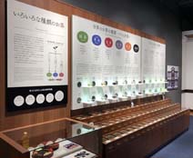 茶的品種介紹-富士之國茶之都博物館